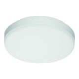 Opple LED Wall-Mounted Performer - Plafondlamp 522020001700