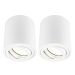 Ledvion Spot - Opbouwspot LV10025-2700K-2pack