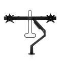 Filex Chicago - Monitor arm 810209 dubbel zwart