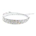 Lumiko Bright - LED strip LLS20-B-EWW-5M